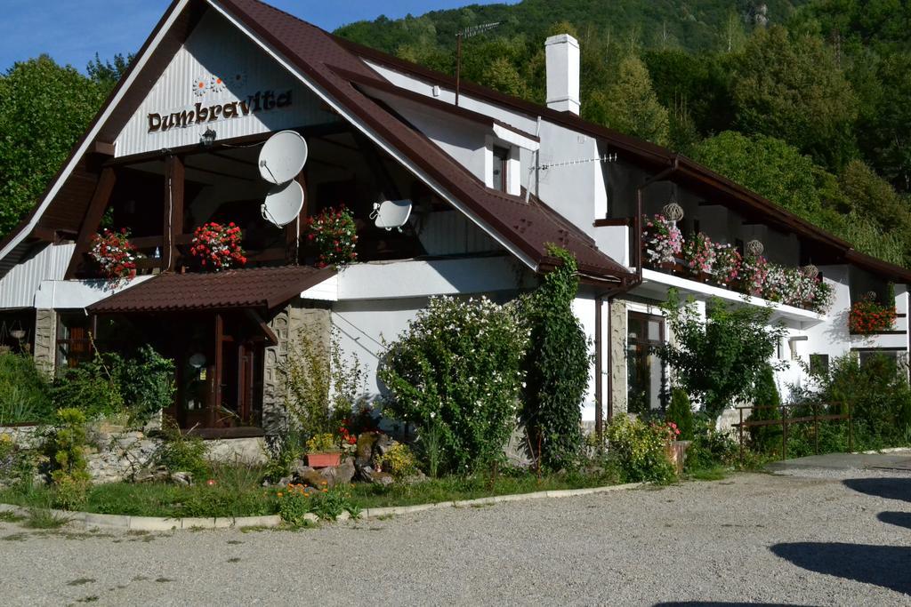 Rîu de Mori Pensiunea Dumbravita酒店 外观 照片